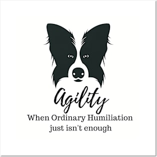 Border Collie Agility Humiliation Posters and Art